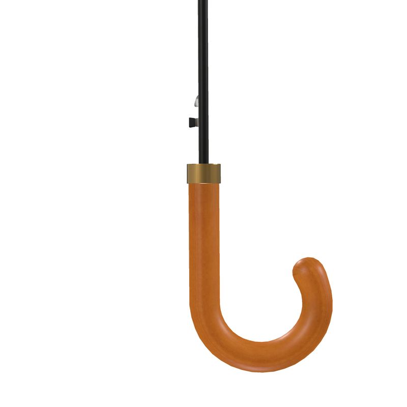 Saumitra Umbrella Spice Market Cinnamon